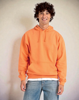 COLLEGE HOODIEJH001JUST HOODS